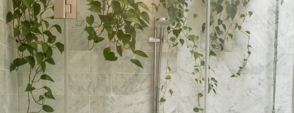 Carrelage salle de bain